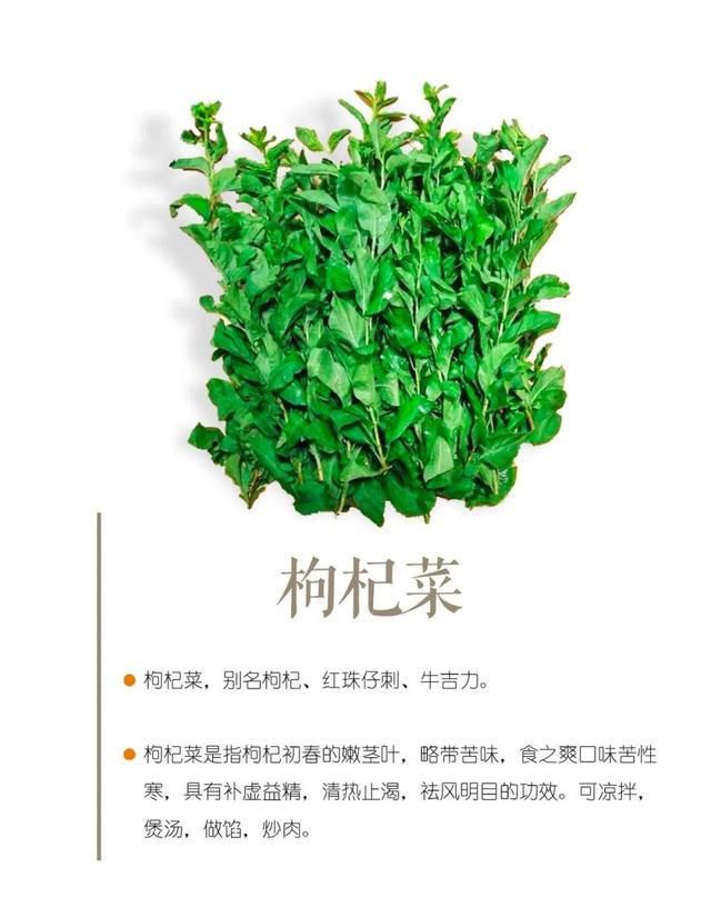 桂林春天的吃“草”指南！（二）