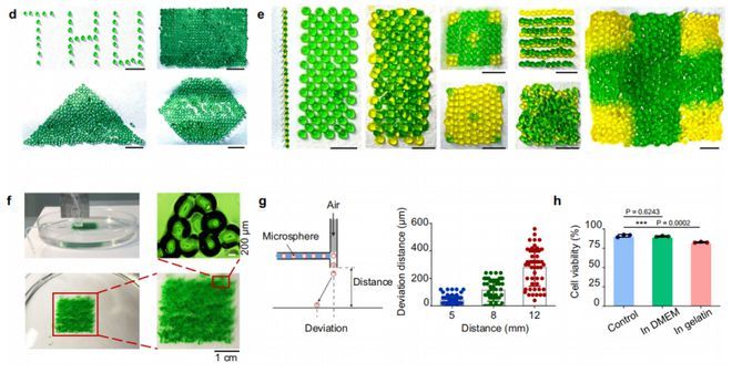 清华团队开发高通量干细胞微球3D打印机，对40%表皮损毁的小鼠实现再生修复，并揭示干细胞的再生修复机制