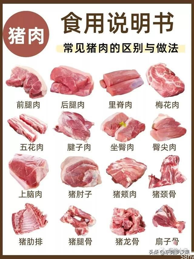 猪肉的各个部位名称（食用做法说明）