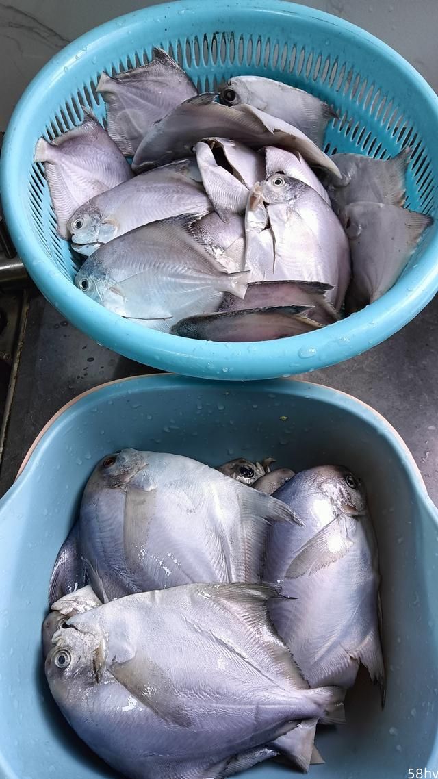 看看海口市场鱼和肉的价格