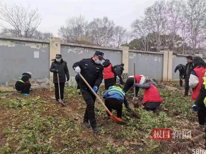绿化带变成菜园，武汉城管路长将其铲除还绿于民