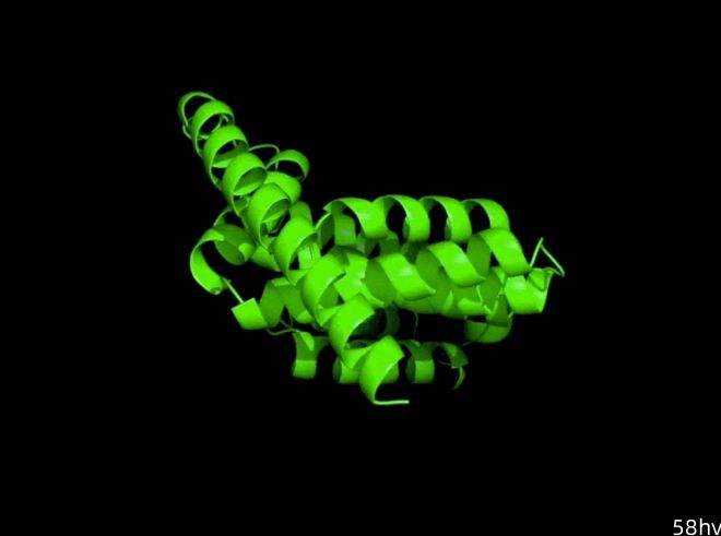蛋白质生成模型TRDiffusion面世，可输出全新的蛋白质结构