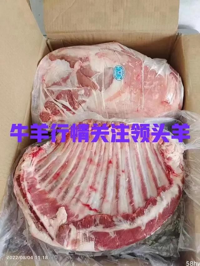 进口肉最新消息，白俄进口牛肉、蒙古国进口羊肉价格