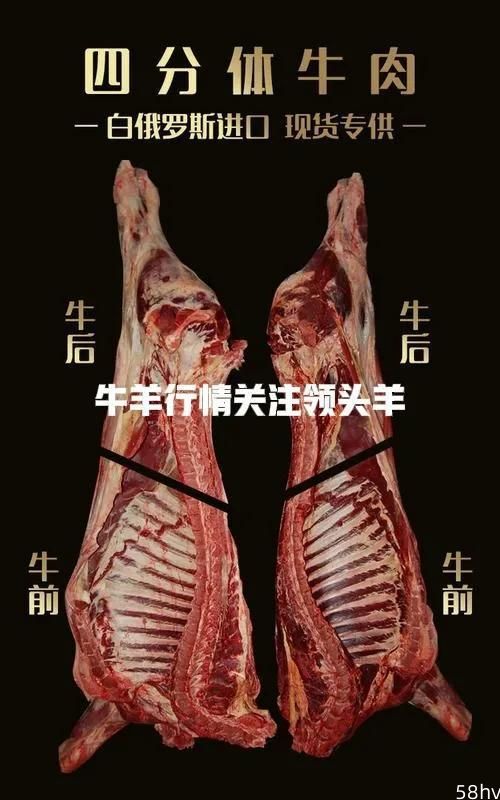 进口肉最新消息，白俄进口牛肉、蒙古国进口羊肉价格