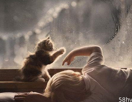 「猫友故事」让猫咪萌宠一同成为陪伴孩子长大的朋友